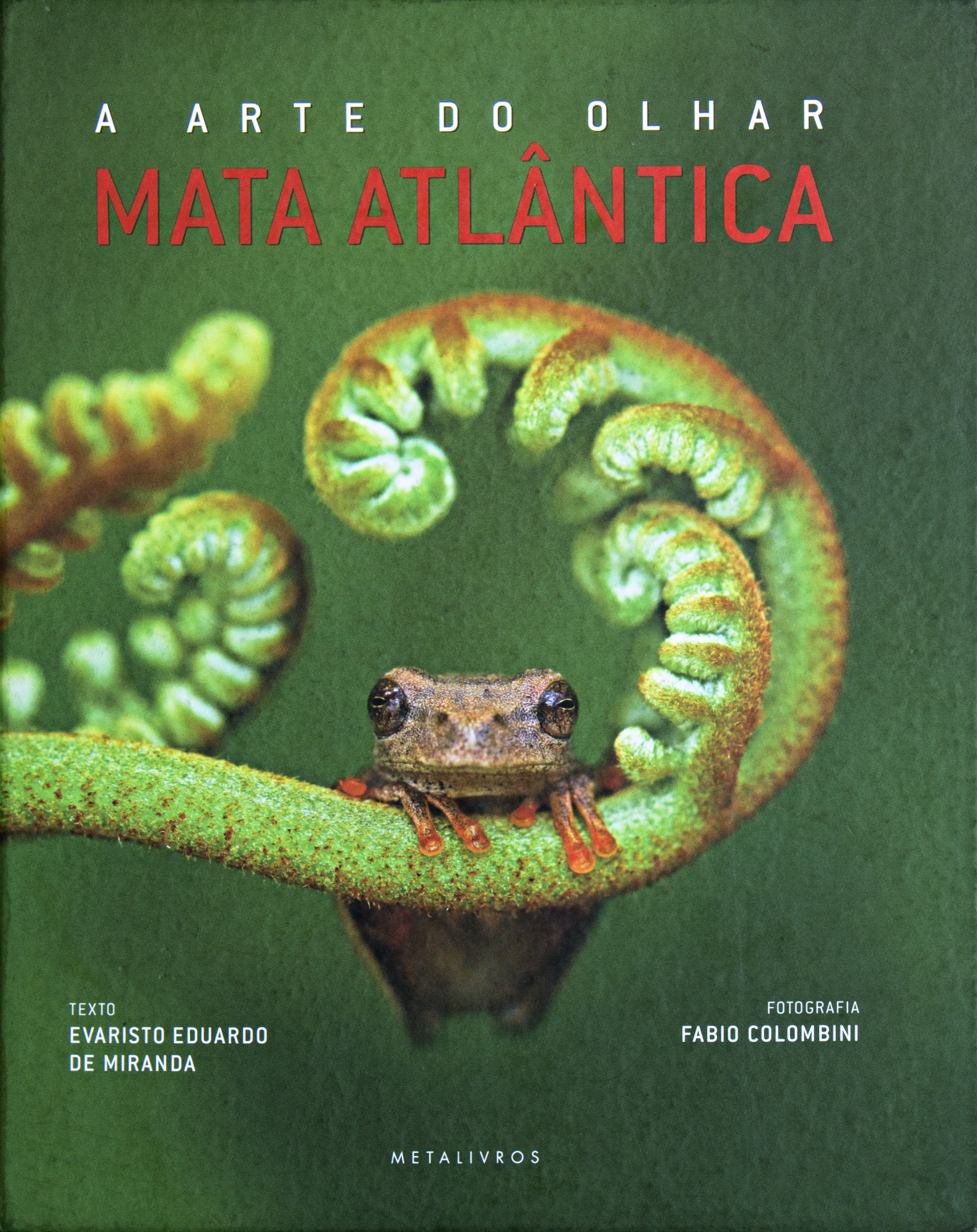 A Arte do Olhar - Mata Atlântica